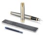 BIRO PARKER IM BMTL STILOGRAFICA PLUMA