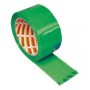 NASTRI ADESIVO VERDE 50X66