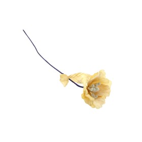 MAGNOLIA GAMBO LUNGO ORO