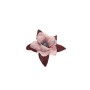 CAMELIA COTTON ROSA