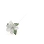 FIORE 60CM SNOW BIANCO.