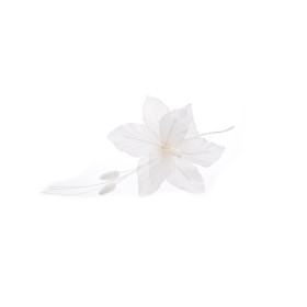 FIORE 15CM FLAX BIANCO.