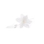 FIORE 15CM FLAX BIANCO.