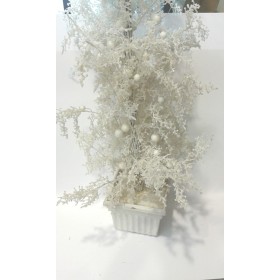 ALBERO C/PIANTA BIANCA.
