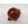 FRUTTA DECORATIVA.