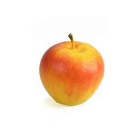 FRUTTA MISTA DECORATIVA .
