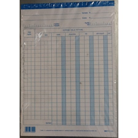 SCHEDE REGISTRAZIONE FATTURA IVA VERDE/BLU QT.100 E3340