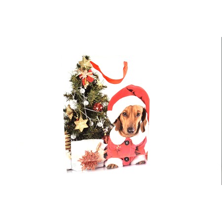 BUSTA NATALE 157GR. 50X16X72 CANE CAPPELLO.