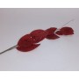 RAMO ALLORO ROSSO