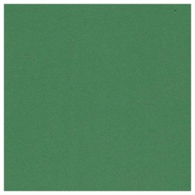 CARTONCINI 120GR VERDE MUSCHIO