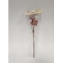 FIORI GAMBO CORTO ROSSO