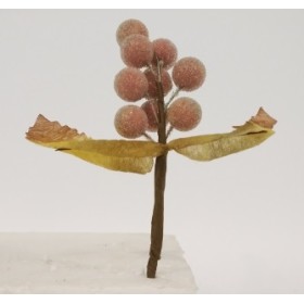 FIORI GAMBO CORTO .