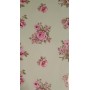 BUSTE METAL 20*35 FANTASIA PZ.50