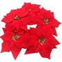 10 STELLE VELLUTO ROSSO (PREZZO X BLIST.)