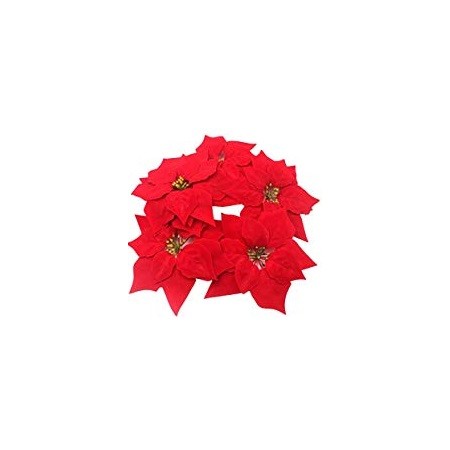 10 STELLE VELLUTO ROSSO (PREZZO X BLIST.)