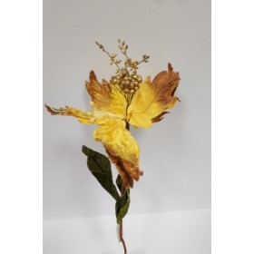 STELLA VELLUTO ORO CM62