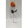 STELLA VELLUTO ARANCIO CM62