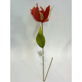 STELLA VELLUTO ROSSA