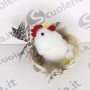 NIDO GALLINELLA CON OVETTI IN DISPLAY