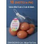 UOVA IN RETE PZ.10