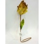 FIORE ORO CM 66