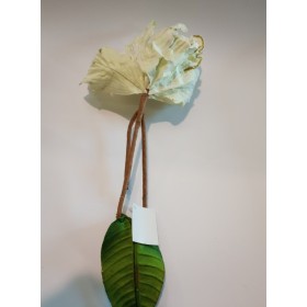 FIORE CREMA CM 66