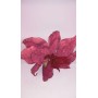STELLA DI NATALE CM 68 ROSSA