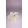 FIORI CM11X14 BIANCO