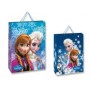 BUSTE CON MANICO FROZEN