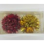 CHIUDIPACCO X 2 IN BLISTER C/FIORI ROSSI 03720016