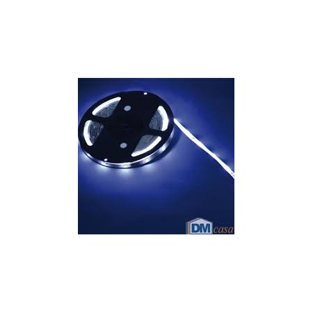NASTRO LED 5MT BIANCO