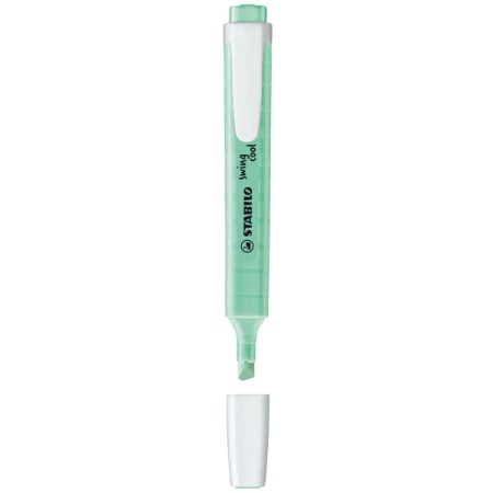 EVIDENZIATORI SWING COOL VERDE