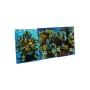 MAXI 5MM TURTLES