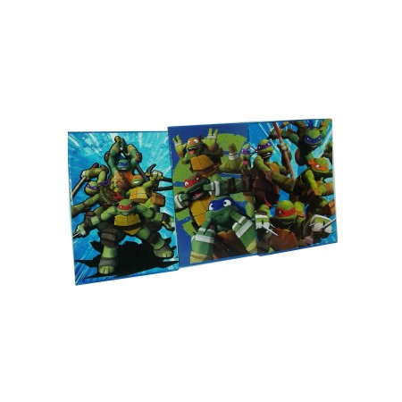 MAXI 5MM TURTLES