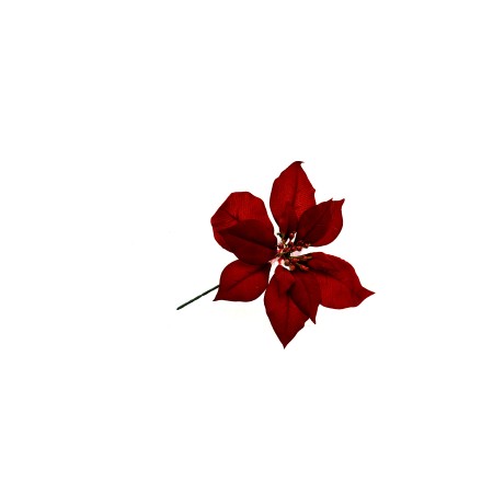 STELLA 22CM  ROSSO