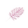 FOGLIA LARGA GLITTER FUXIA