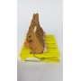 BOX 6 MOLLETTINE (PREZZO X SINGOLA MOLLETTA).
