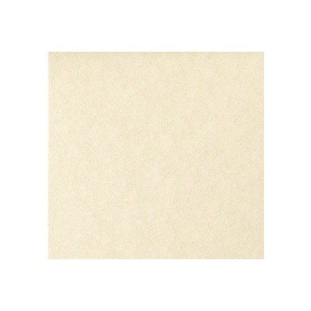 PERGAMENA A3 GR. 190 FAVINI CALLIGRAPHY NATURALE FG.250
