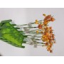 DECORO STECCA APE CM 25