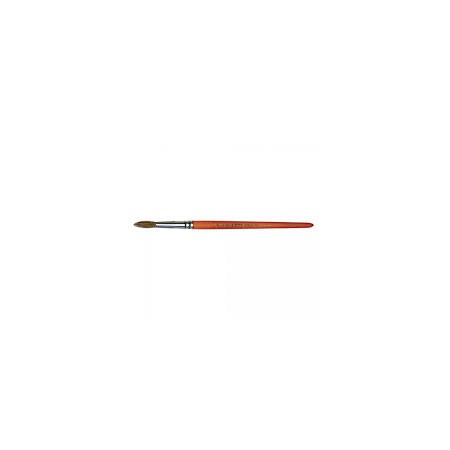 PENNELLI PIATTI N.0 1DZ