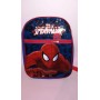 ZAINI ASILO SPIDERMAN