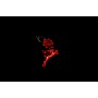 APPENDINO RENNA ROSSO