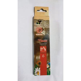 PASTELLI LEGNO X 6 PRISMANATURA CARAN D'ACHE