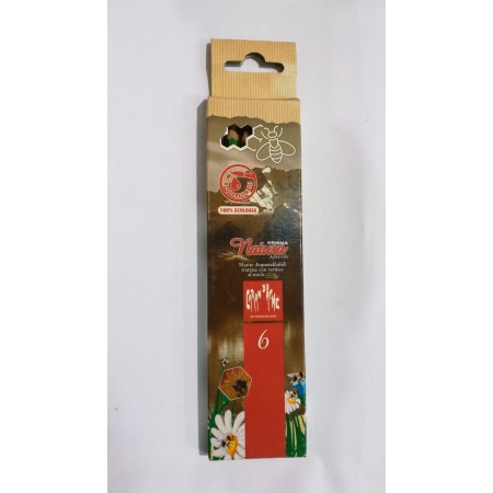 PASTELLI LEGNO X 6 PRISMANATURA CARAN D'ACHE