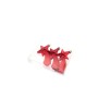 BOX 3 APPENDINI STELLA COMETA ROSSO