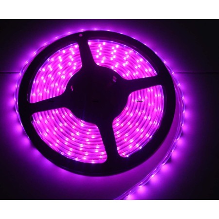 TUBO LED 10 MT VIOLA