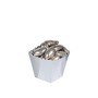 12 BOX PORTACONFETTI IRIDESCENT