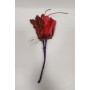 FIORI GAMBO CORTO ROSSO