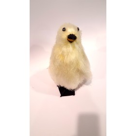 PINGUINO CM 26