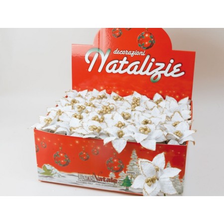 DISP. STELLA NATALE AVORIO.